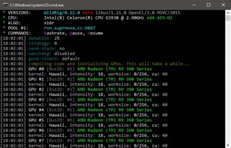 Wildrigmulti 0 19 0 Miner For Amd Gpu Download Crazy Mining Org